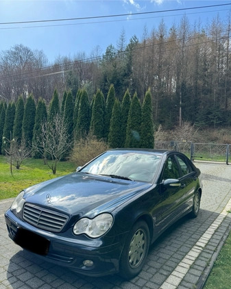 Mercedes-Benz Klasa C cena 8900 przebieg: 314764, rok produkcji 2004 z Rudnik nad Sanem małe 16